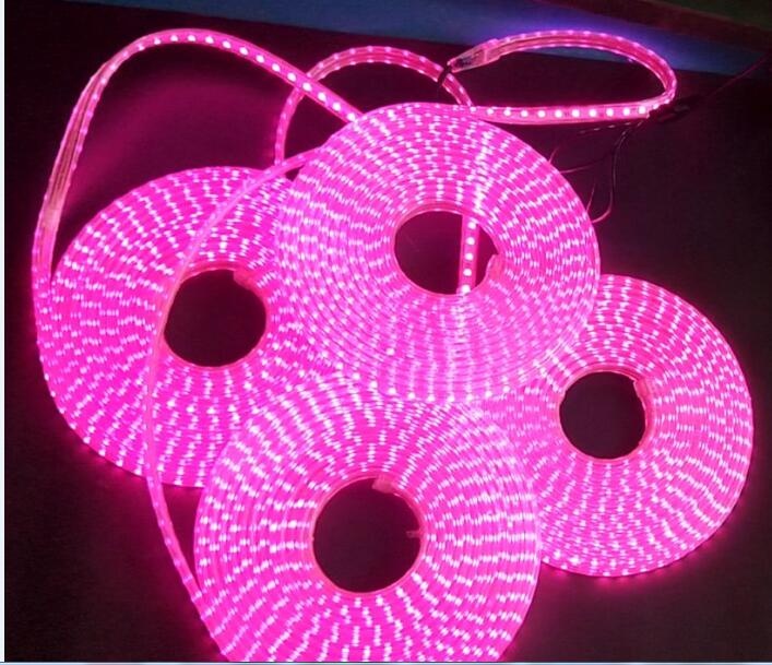 LED Grow Light
